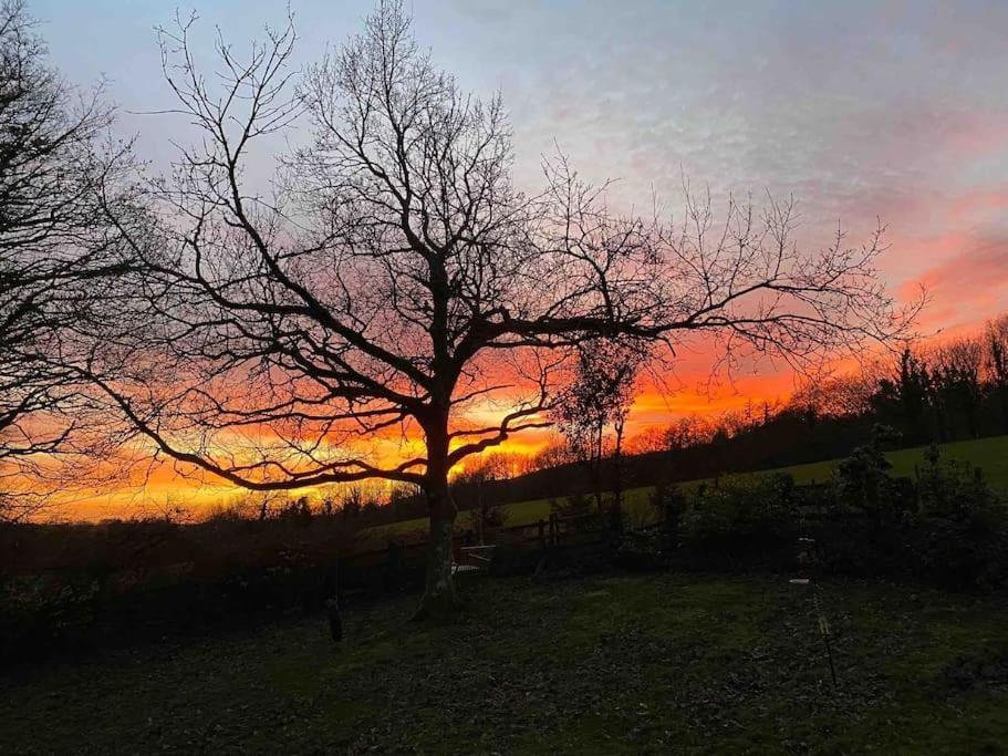 Beautiful Renovated Former Coach House Llandeilo Extérieur photo